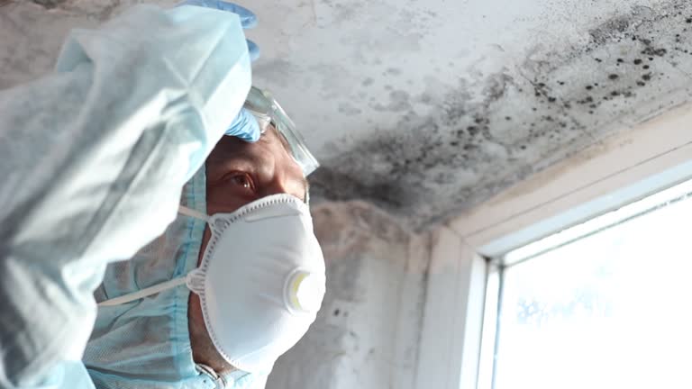 Why You Should Choose Our Mold Remediation Services in Level Green, PA